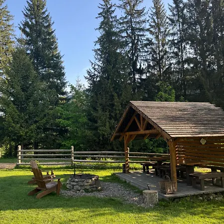 Holiday home затишок карпат Krivopol'ye