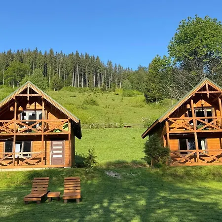 затишок карпат Holiday home