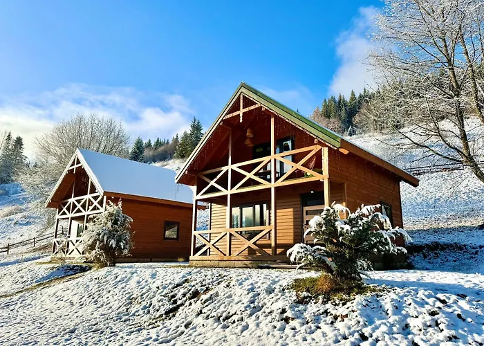 затишок карпат Holiday home